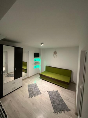 Apartamnet regim hotelier